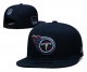 Tennessee Titans Blue Cap